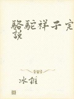 骆驼祥子完整小说