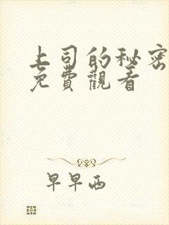 上司的秘密短剧免费观看