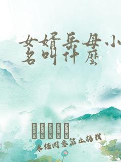 女婿岳母小说书名叫什么