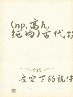 (np,高h,纯肉)古代攻受