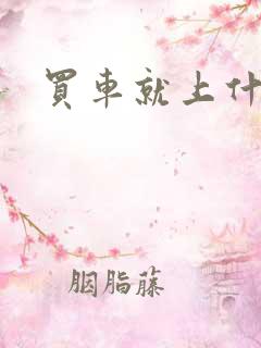 买车就上什么网