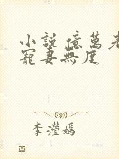 小说 亿万老公宠妻无度