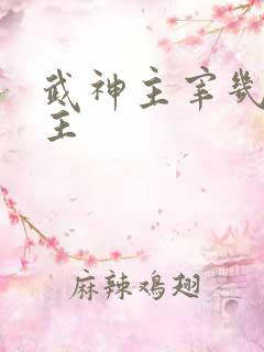 武神主宰几个女主