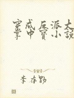 穿成反派大佬的掌中宝小说