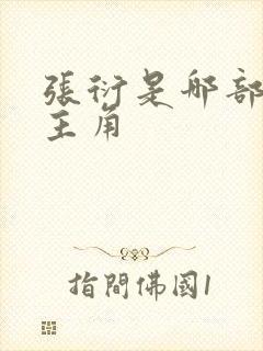 张衍是哪部小说主角