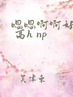 嗯嗯啊啊好爽啊 高h np