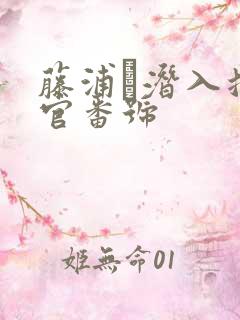藤浦め潜入搜查官番号