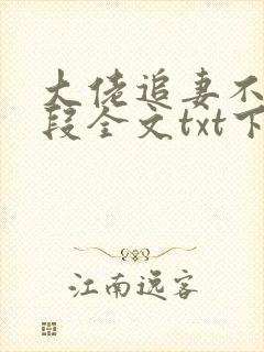 大佬追妻不择手段全文txt下载