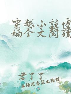 穿越小说傻王夺嫡全文阅读