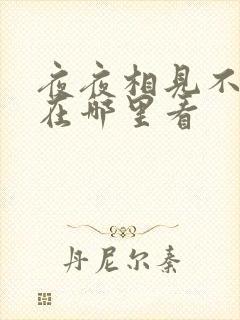 夜夜相见不识君在哪里看