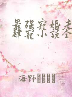 最强宠婚老公放肆宠小说全文免费