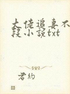 大佬追妻不择手段小说txt