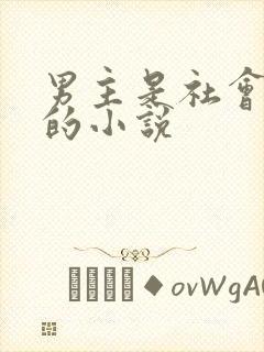 男主是社会混混的小说