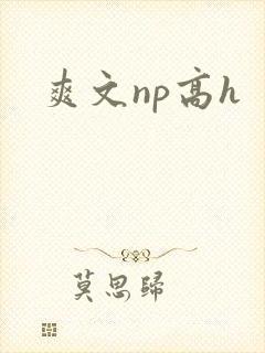 爽文np高h
