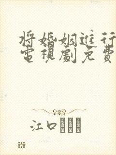 将婚姻进行到底电视剧免费全集观看