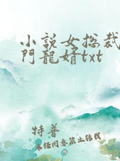 小说女总裁的上门龙婿txt