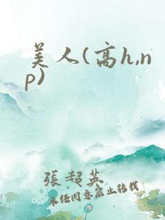 美人(高h,np)