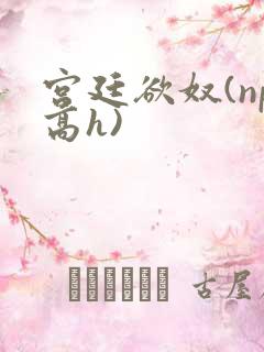 宫廷欲奴(np高h)
