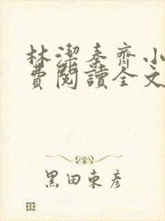 林洁秦齐小说免费阅读全文最新章节