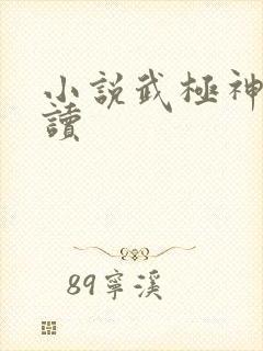 小说武极神王阅读