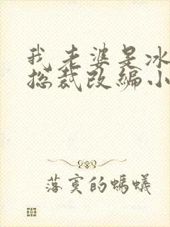 我老婆是冰山女总裁改编小说