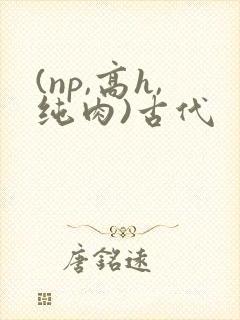 (np,高h,纯肉)古代