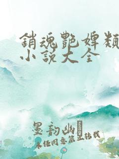 销魂艳婢类似的小说大全