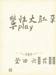 双性大肚孕夫生子play
