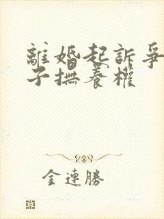 离婚起诉争取孩子抚养权