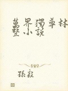 万界独尊林枫完整小说