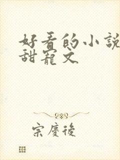 好看的小说言情甜宠文