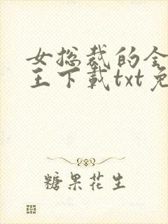 女总裁的全能兵王下载txt免费下载