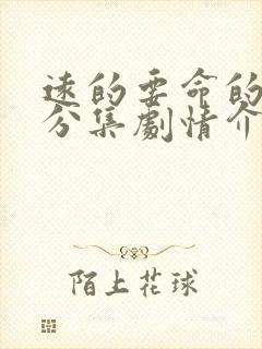 远的要命的爱情分集剧情介绍