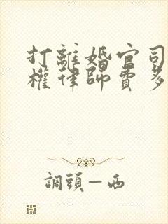 打离婚官司抚养权律师费多少钱啊