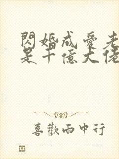 闪婚成爱老公竟是千亿大佬