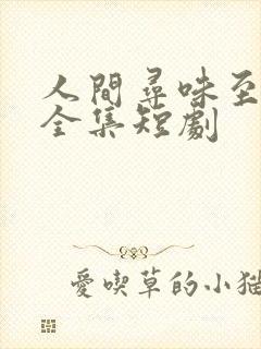 人间寻味至清欢全集短剧