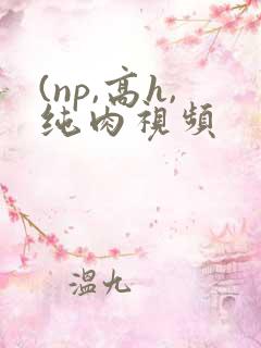 (np,高h,纯肉视频