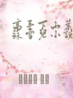 高手下山叶君临苏雪儿小说下载