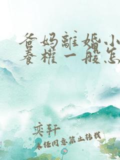 爸妈离婚小孩抚养权一般怎么判