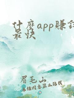 什么app赚钱最快