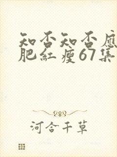 知否知否应是绿肥红瘦67集在线观看