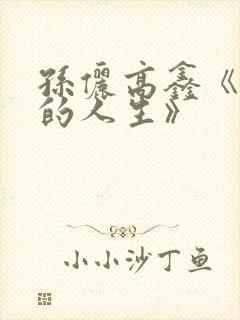 孙俪高鑫《蛮好的人生》