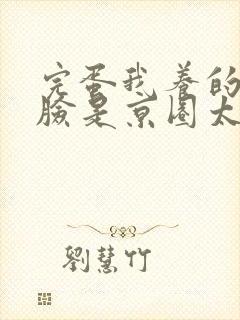 完蛋我养的小白脸是京圈太子爷免费看全集