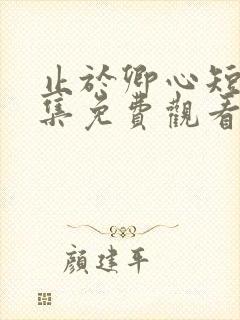 止于卿心短剧全集免费观看第35集