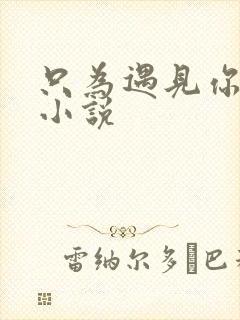 只为遇见你原著小说