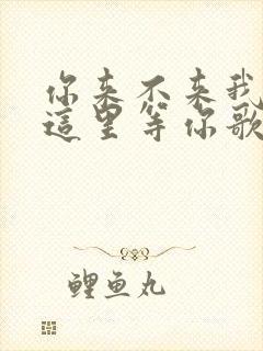 你来不来我都在这里等你歌词