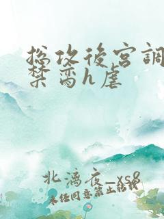 总攻后宫调教成禁脔h虐