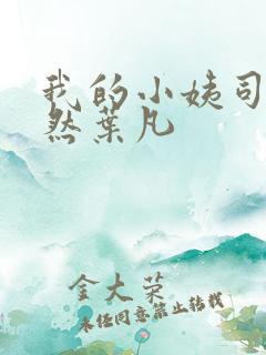 我的小姨司空嫣然叶凡