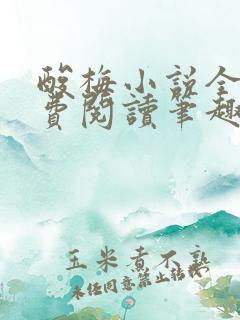 酸梅小说全文免费阅读笔趣阁