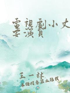 电视剧小丈夫主要演员